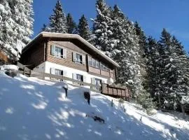 Almhaus am Hohenwart in Klippitztörl