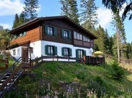 Almhaus am Hohenwart in Klippitztörl
