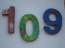 Buitenplaats 109 Comfortable holiday residence