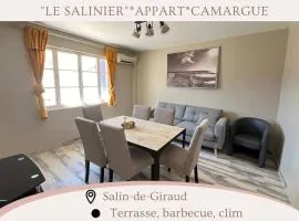 Le Salinier Appart Camargue