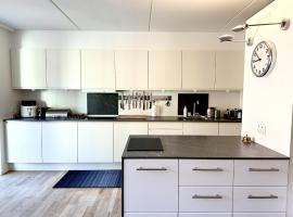 Spaniensgade 15A 1tv