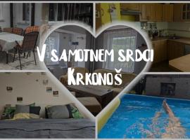Ubytování Pod Něžnym Obrem, hotel v Hostinném