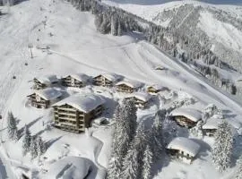 Edelweisshaus Top 1