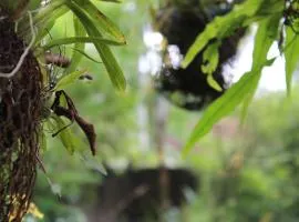 Natures Bliss Garden Stay
