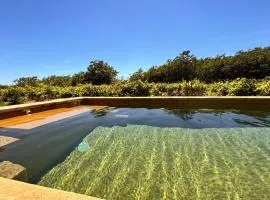 Le Mas de Bonnety - Magnifique mas 12 personnes au Pied du Mont Ventoux