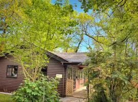 Shrew Lodge-woodland Lodges-Hot Tub-Pembrokeshire-Tenby