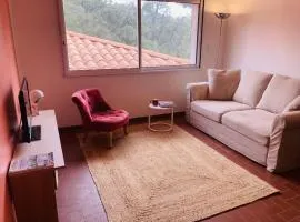 Charmant T2 de 36m2 en Provence