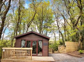Woodland View -Hot Tub-Tenby-Carmarthen-St Clears, hotel v destinaci St Clears