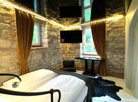 Historical Luxury Homes - Luxus Loft Wallstreet, hotel em Freiburg im Breisgau