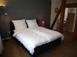 Wohnung in Hameln mit Garten