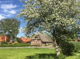 Haus Ruhe unter Reet