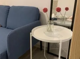 Isidora Studio Apartman