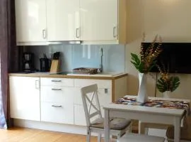 Apartamenty Miku