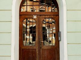 Casa Leonhardt，錫吉什瓦拉的寵物友善飯店