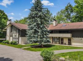 379A Mountain Villa, caba&ntilde;a o casa de campo en Boyne Falls