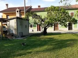 Na Zeleni cesti / On the green road