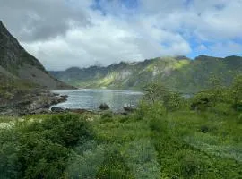 Enebolig med Eventyrlig beliggenhet like ved sjøen i Lofoten