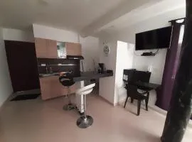 Apartamentos amoblados y Aparta Hotel La Unión Valle