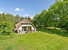 Holiday Home Vester Mosevej Ulfborg Iv