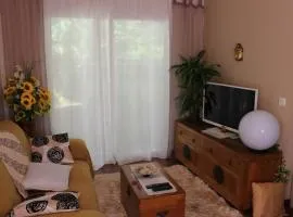 La maison de Robin's