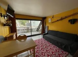 Studio charmant avec balcon, au pied des pistes, tout équipé, 1er étage, parking, casier à skis - FR-1-787-19