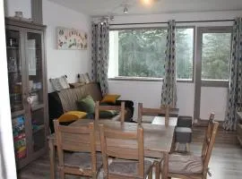 Bel appartement rénové T2 avec balcon au pied des pistes - FR-1-787-10