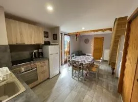 Chalet cosy 50m² avec WiFi à 300m des pistes, 2 chambres, casier à skis, proche gare et navette - FR-1-787-12