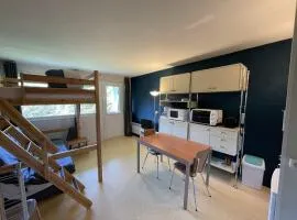 Appartement cosy avec balcon, accès direct piste et parking privatif - FR-1-787-20