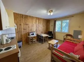 Agréable T2 au pied des pistes avec piscine estivale, parking, et animaux bienvenus - FR-1-787-31