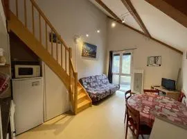 Studio cosy face aux pistes avec mezzanine et navette gratuite - FR-1-787-39
