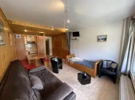 Studio avec balcon en centre station, WiFi et animaux admis - FR-1-787-60