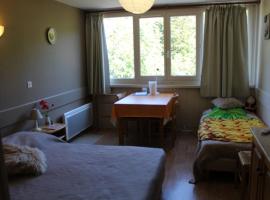 Studio cosy 2/3 pers, 200m pistes, wifi, parking, animaux ok - FR-1-787-49, ξενοδοχείο σε Laveissière