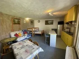 Studio 35m² pour 5 pers. avec balcon, centre station, proche commerces et pistes, animaux acceptés. - FR-1-787-61