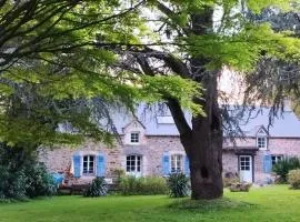 La suite d'Anna
