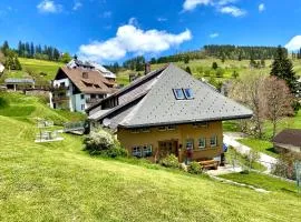 Berghof Almzeit - Fewo "Philosophenstüble", Sauna, Todtnauberg, Feldberg