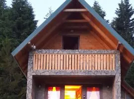 Mountain apartment-Komovi