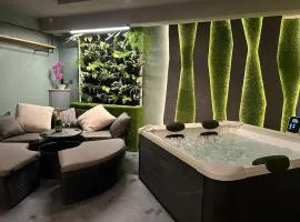 LEO Apartment Suite & Private SPA Zone - Old City