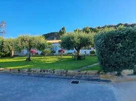 CasaSicula - Artemis House