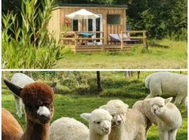 Dartmoor Reach Alpaca Farm Heated Cabins 5 mins drive to Dartmoor