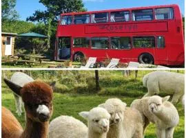 Double Decker Bus on an Alpaca farm sleeps 8, 5 mins drive to Dartmoor