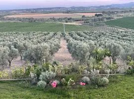 La Pizzuta del Principe