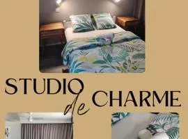 Joli studio cocooning & discret, à 2mns de la 4 voies