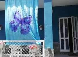 Casa Deli - Le Farfalle Blu