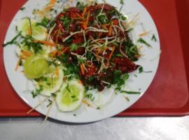 Hotel Darsan and Lodge Taplejung