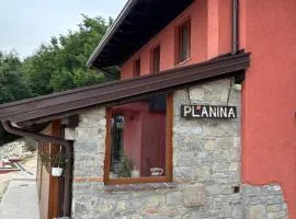 La planina