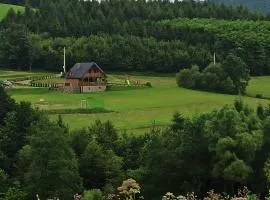 Bieszczady Żubrowe Wzgórze 785-049-543