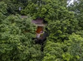 Crystal Kuruva Nature Resort & Spa、ワイナードのリゾート