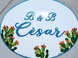 B&B Cèsar