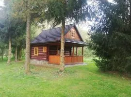 Chatka Na Rozdrożu