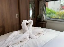 Tayys Inn Luxury Camp